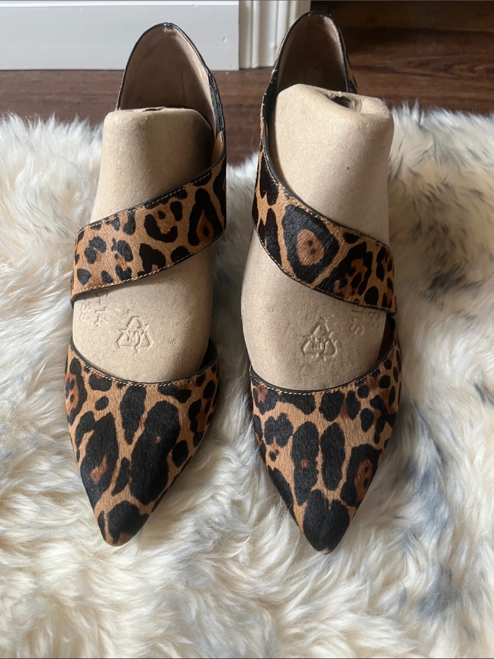 Calvin Klein Leopard Print Pointed Toe Mary Jane Flats - Brown/Black